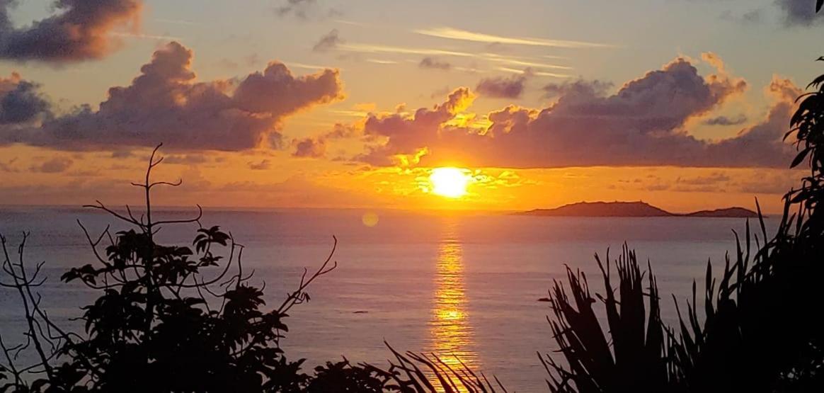 Mango Lodge Anse Volbert Village المظهر الخارجي الصورة