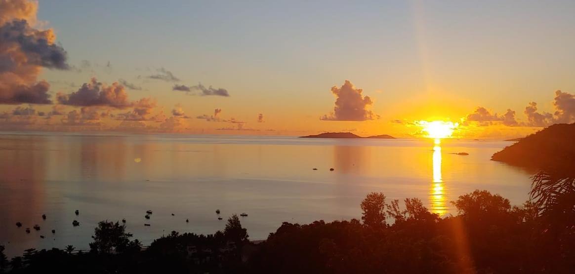 Mango Lodge Anse Volbert Village المظهر الخارجي الصورة