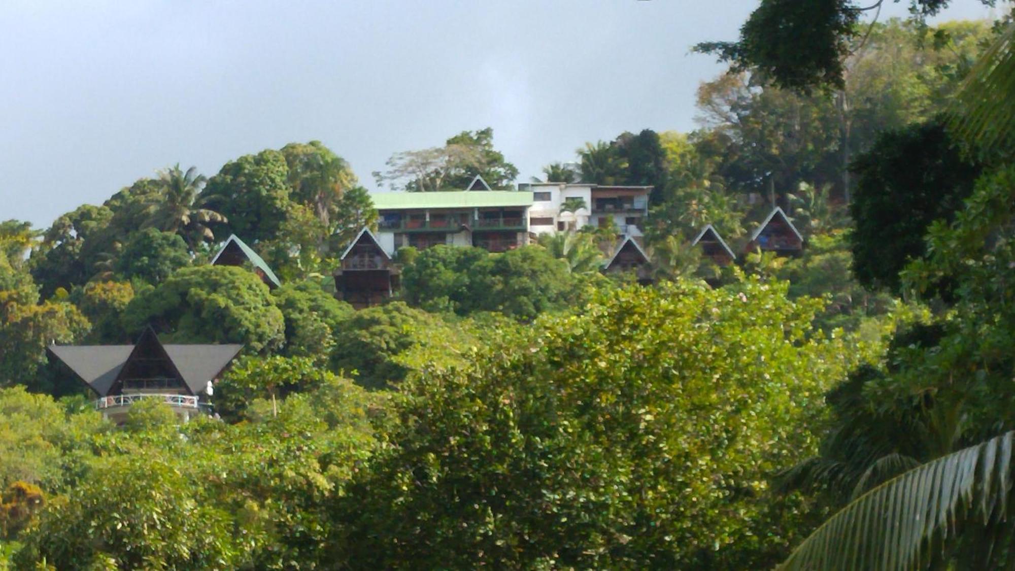 Mango Lodge Anse Volbert Village المظهر الخارجي الصورة