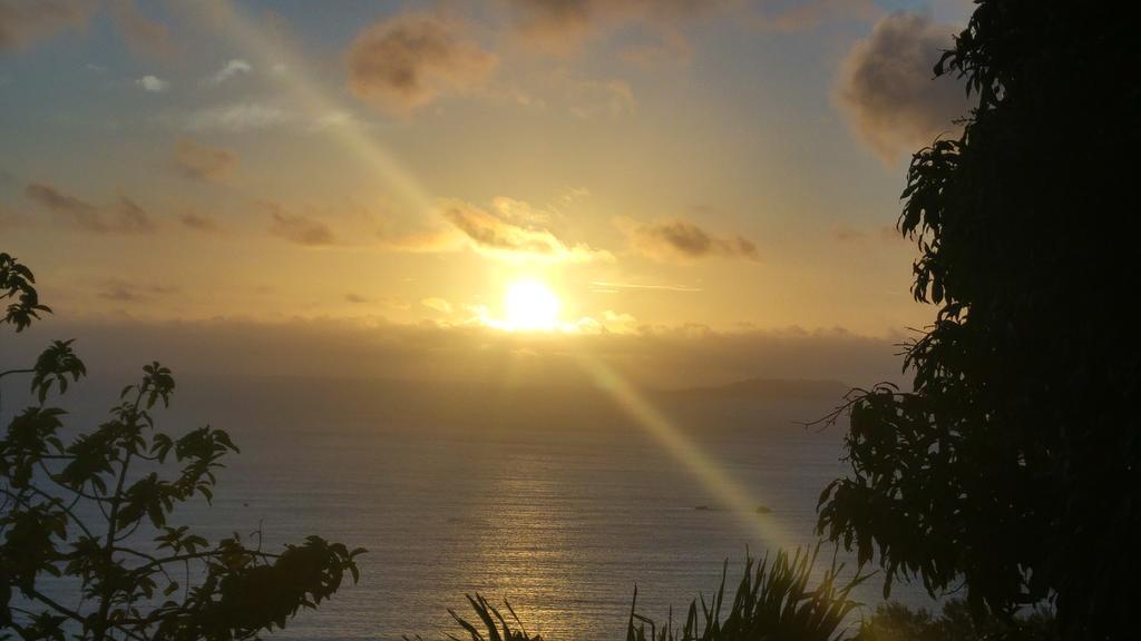 Mango Lodge Anse Volbert Village المظهر الخارجي الصورة